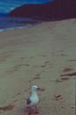 Down on one of the Abel Tasmans many, many beaches.
